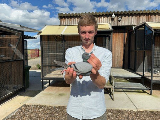 National winner Bourges IV Young birds Viktor Daenen